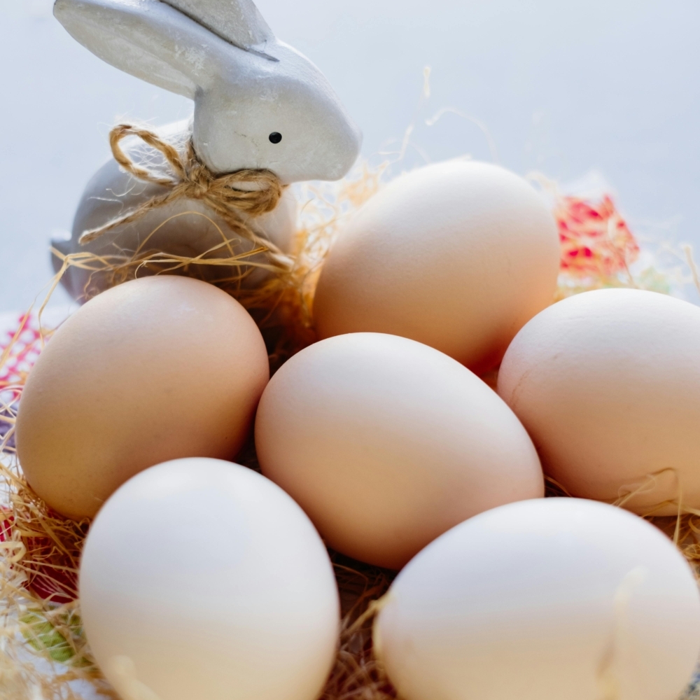 pexels freestocks 4132855